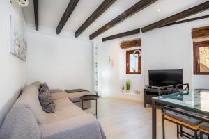 a living room with a couch and a television at Apartamento Can Roses in Moscari