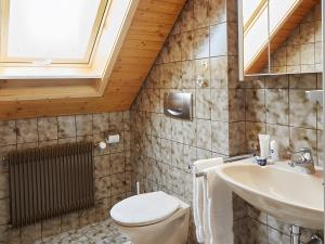 a bathroom with a toilet and a sink at Haus Am Kaltenbach in Enzklösterle +12 photos