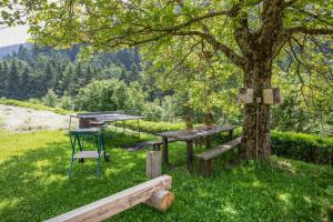 two picnic tables and a bench under a tree at Appartements Gabrielli Anna in Trodena