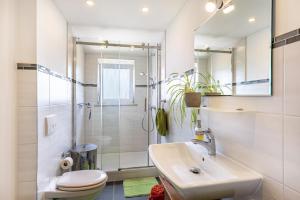a bathroom with a shower and a sink and a toilet at Baumelt Ferienwohnung in Hechingen +20 photos