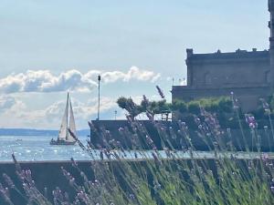 a sail boat in the water with a building and a boat at Stadler in Langenargen