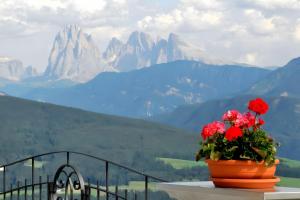 a flower pot on a table with mountains in the background at Mitterhof in Villandro +2 photos