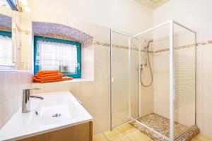 a bathroom with a sink and a shower at Gemütliches Apartment In Lohmen in Lohmen +13 photos