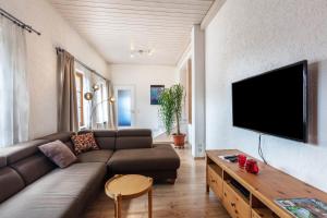 a living room with a couch and a flat screen tv at Connerhof Todtnauberg in Todtnau