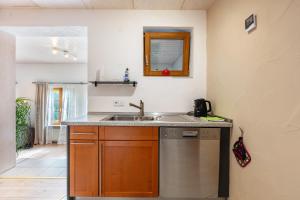 a kitchen with a sink and a counter at Connerhof Todtnauberg in Todtnau +16 photos