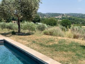 a swimming pool in a garden with a tree at Ferme du Luberon in Mane +15 photos