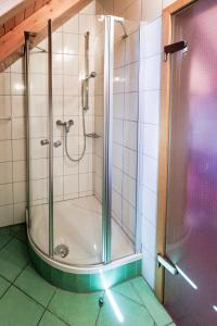 a shower with a glass door in a bathroom at Hinterhauensteinhof in Hornberg +25 photos