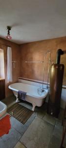 a bathroom with a bath tub and a toilet at Historisches Bahnwärterhaus in Gremmelsbach