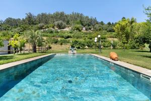 a swimming pool in the middle of a yard at Quinta Santa Marinha in Arcos de Valdevez
