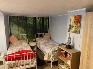 a bedroom with two beds and a large window at Ferienhaus Harz Idylle 3 in Güntersberge