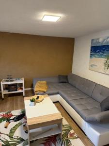 a living room with a couch and a table at Ferienhaus Harz Idylle 3 in Güntersberge