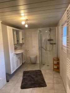 a bathroom with a shower and a toilet and a sink at Ferienhaus Harz Idylle 3 in Güntersberge +20 photos