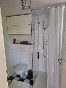 a bathroom with a toilet and a glass shower at Ferienhaus am Wasser, Bootshaus in Güstrow