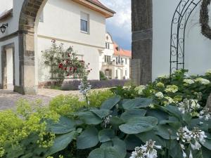 a garden with flowers and plants in front of a building at Ferienwohnung Gut Börtewitz in Leisnig