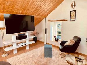 a living room with a large flat screen tv at Kleines Eifel Backhaus mit Sauna in Feuerscheid