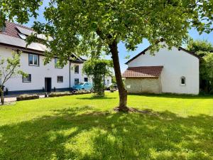 a tree in a yard in front of a house at Kleines Eifel Backhaus mit Sauna in Feuerscheid