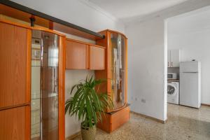 a kitchen with wooden cabinets and a potted plant at Apartamento karla in San Nicolás +12 photos