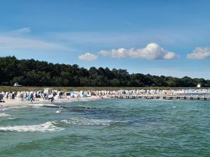 a group of people on a beach near the water at Ferienwohnung Gartenblick in Fuhlendorf