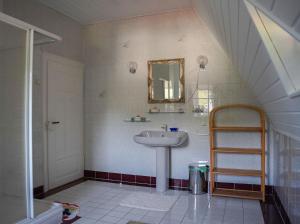 a bathroom with a sink and a mirror at Apartment in Villa Rochlitz in Rochlitz +37 photos