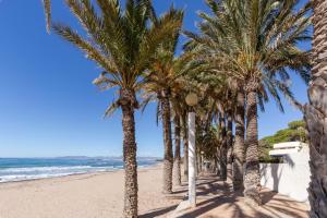 a row of palm trees on the beach at Primera Planta in Cartagena