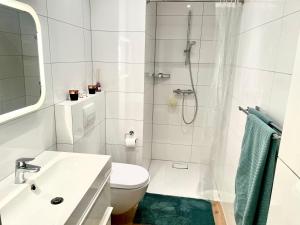 a bathroom with a shower and a toilet and a sink at Gemütliche Ferienwohnung in Drolshagen