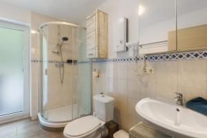 a bathroom with a shower and a toilet and a sink at Ferienhaus Eifel Atrium in Zweifelscheid +23 photos