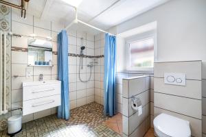 a bathroom with a shower and a toilet and a sink at Die Schneiderei in Balingen