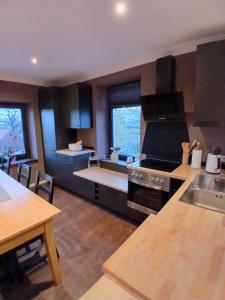 a kitchen with a stove and a counter top at Sonnige Ferienwohnung Am Sternberg in Extertal