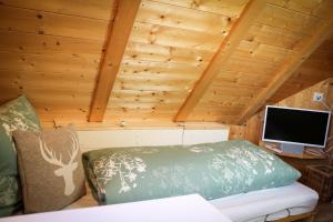 a room with a bed and a television in a cabin at Villa Wolfsgrund und Apt Wolfshöhle in Schluchsee