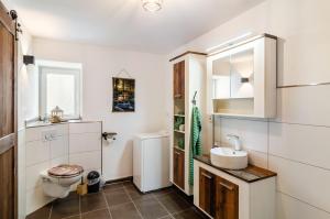 a bathroom with a toilet and a sink at Ferienwohnung am Vogler in Holenberg +19 photos