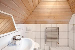 a bathroom with a sink and a toilet at Ferienwohnungen Roth in Willingen
