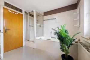 a bathroom with a shower and a sink and a plant at Weserberglandblumen in Bad Pyrmont +17 photos