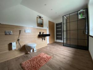 a bathroom with a shower and a toilet and a rug at Bergwiesnblick Apartments in Bärenstein +47 photos
