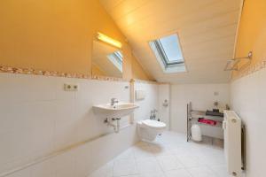 a bathroom with a sink and a toilet and a window at Alte Stadtvilla in Neuwied +15 photos
