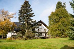 a house on a hill with a tree in the foreground at Villa Nordhang - Apartment 04 in Winterberg