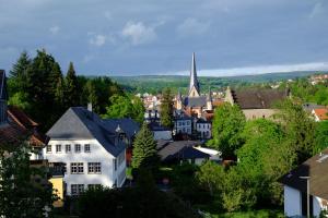 a view of a town with a church in the distance at altes forsthaus schotten in Schotten