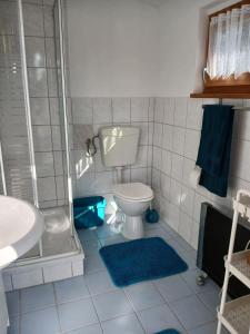 a bathroom with a toilet and a shower and a sink at Seeidyll in Heidesee