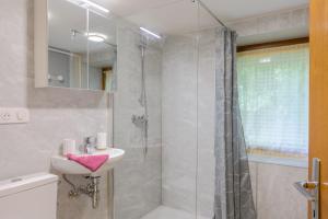 a bathroom with a sink and a shower at Gîte De Pipala in Mittlach