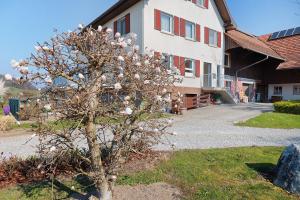 a tree with white flowers in front of a building at Haus Zapf in Kressbronn am Bodensee