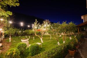 a garden with trees and lights at night at Grand Hostel Berat in Berat