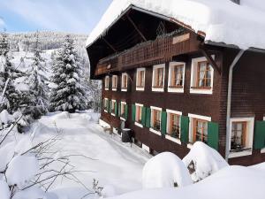 a building covered in snow with snow covered trees at Bachrainhof 2 in Menzenschwand