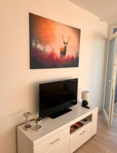 a flat screen tv sitting on top of a white entertainment center at Über den Dächern von Aachen in Aachen