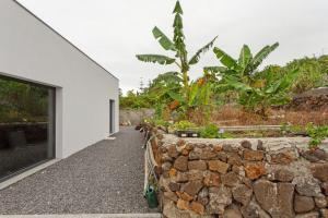 a stone wall separates the house from a garden at Paraiso Madeira - Suites in Gaula