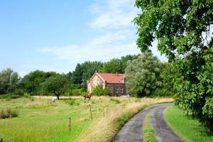 a house in a field next to a road at Gutshaus am Teich in Neukloster