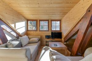 a living room in a log cabin with a couch and a tv at Chalet le Regain in Villard-Reculas