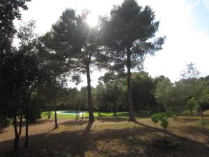 a group of trees in the middle of a park at Apartament Can Pujadas in Regencós +3 photos