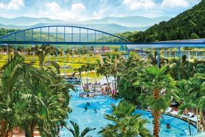 an overhead view of a resort pool with palm trees at Haus Wintersonne in Feldberg
