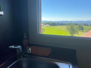 a sink and a window with a view of a green field at Haus Jehle in Görwihl +32 photos