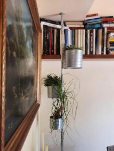 a shelf with books and a potted plant on a wall at Oasi di relax in Noto