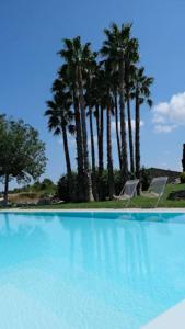 a blue swimming pool with palm trees in the background at Oasi di relax in Noto